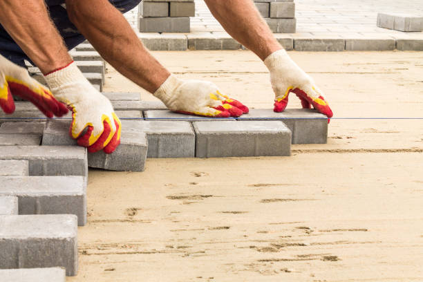 Best Professional Driveway Pavers  in Minden, NV