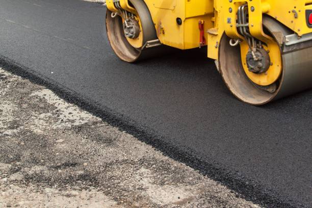 Best Local Driveway Pavers  in Minden, NV