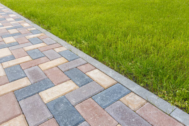 Best Commercial Driveway Pavers  in Minden, NV